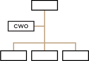 THE CHIEF  WEALTH OFFICER